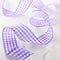 2.5" x 25ft. Wired Gingham Ribbon by Celebrate It™